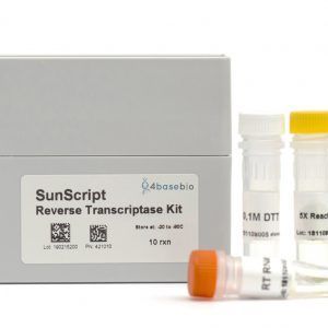 4BB™ SunScript® Reverse Transcriptase Kits